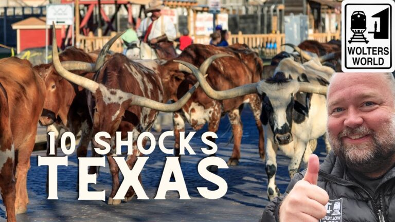 Texas: 10 Things That Shock Tourists about Texas