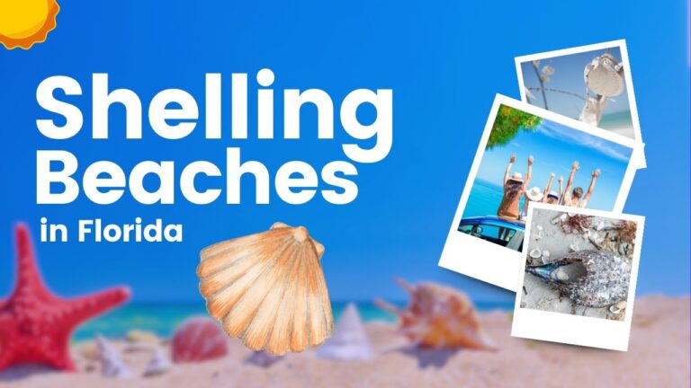 10 Best Shelling Beaches in Florida USA