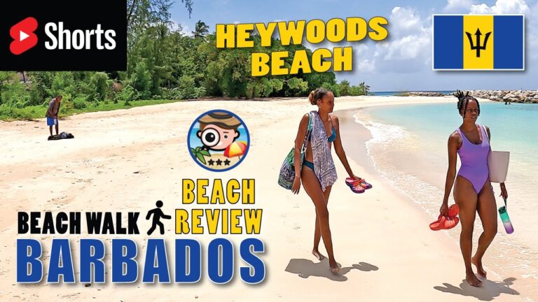 Heywoods Beach #shorts #barbados #beach #beachwalk #beachvibes #playa #travel #walkingtour #viral