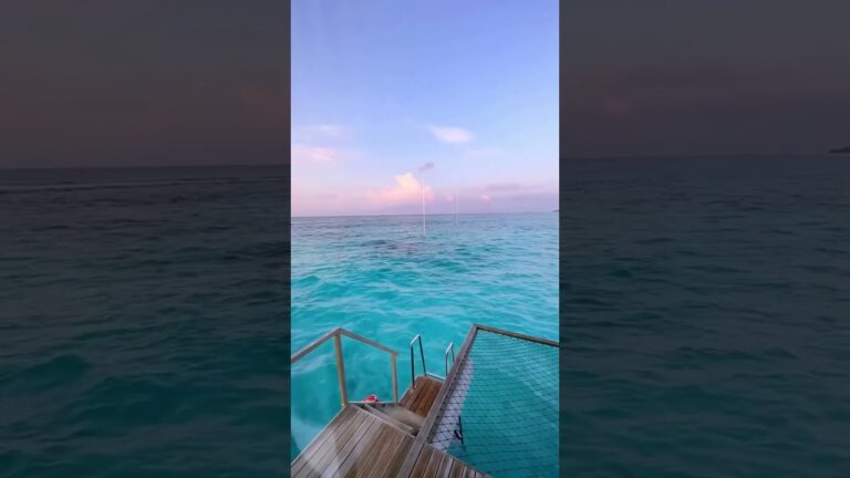 Explore the Maldives #shorts  #travel #tiktok