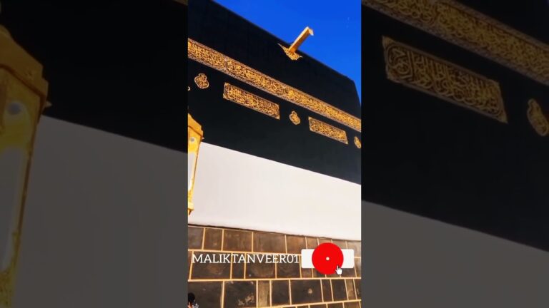 #maliktanveer #live #madina #kabbah #travel #naat #newnaat #viral #trending #reels #vlog #video