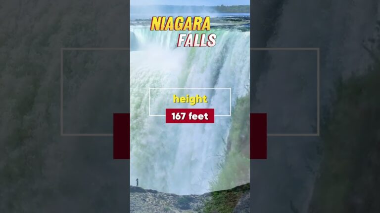 #NiagaraFalls#NiagaraFallsTourism#NiagaraFallsCanada#NiagaraFallsUSA#Waterfalls#shortsfeed #fyp