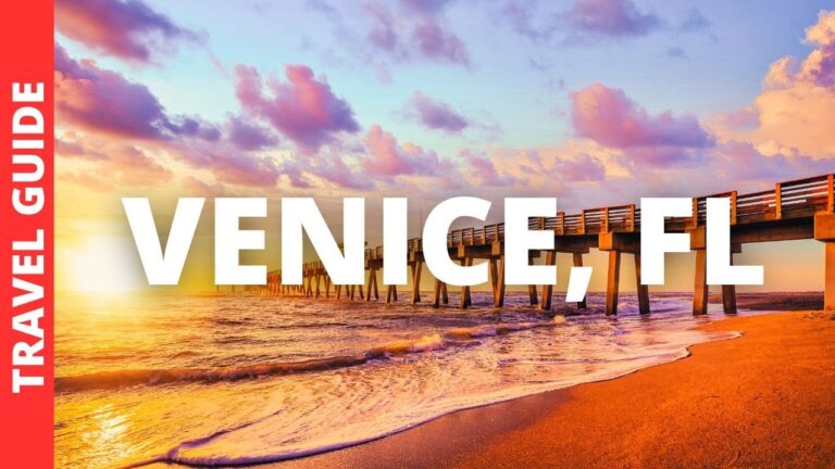 Venice Florida Travel Guide: 17 BEST Things To Do In Venice FL